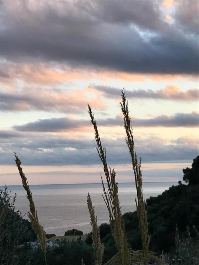 Asaya Hills Villas Parga Eksteriør billede